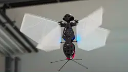 The Flapper Nimble+ insect drone
