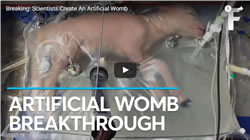 artificial womb