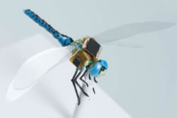 Cyborg Dragonfly