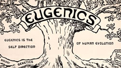 designer babies can lead to eugenics