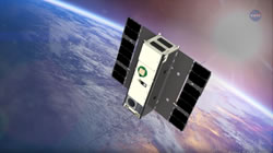 microsatellite