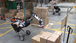 warehouse robots