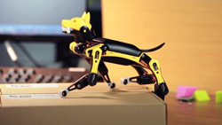 Robot Dog