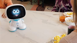 Social Family Robot