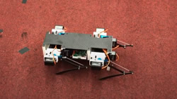 Quadruped Robot