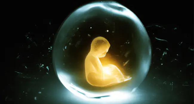 A fuzzy shape of a baby can be seen inside a transparent sphere