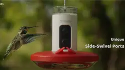 Birdfy Hum Feeder Mini hummingbird feeder