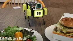 The MD Robot Kits, the Turtle Bot and the Mini Pupper 2G