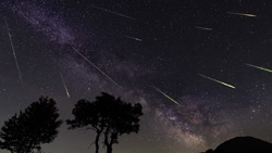 A view looking up at the night sky over trees with 10 streaks representing shooting stars heading downward left to right. The purple Milky Way can be seen in the background.