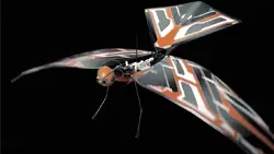 X Fly ornithopter drone by Bionic Bird