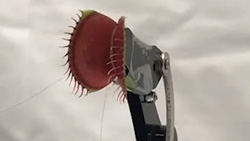 a closeup up of the 'head' of a venus flytrap plant attached to a robotic arm