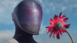 A robot with a plain shield for a face is holding and looking at a red flower.