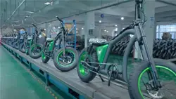 BIGNIU BG-X Pro Electric Bike