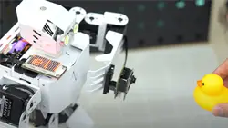 The Tonybot educational humanoid robot