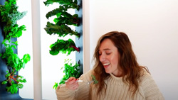 A person is sitting eating a salad. On the wall behind is a vertical garden.