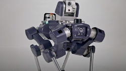 A blue quadruped robot with a camera on top.