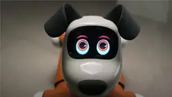 The BabyAlpha A2 Intelligent Petbot