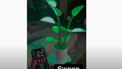 The Fluora Mini LED houseplant