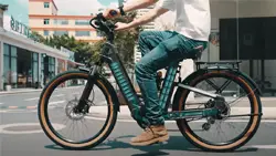 Mihogo Air long range ebike