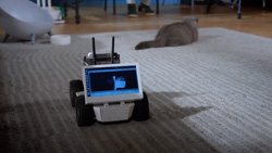 A view from ground level shows a 4-wheeled white robot from the back, with a mounted display screen facing the camera. Two black antennas are sticking up in the front. The robot is on a beige carpet in what looks like a living room. There is a gray cat also on the carpet facing away from the robot. The robot is slightly smaller than the cat.