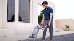 The Unitree Go2 quadruped robot dog