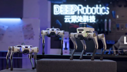 The Deep Robotics Lite3 quadruped robots