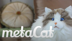 MetaCat the robotic pet cat