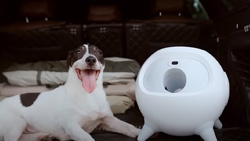 The Uahpet iRetriever Ball Launcher for dogs