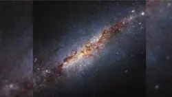 The starburst galaxy Messier 82 (M82)