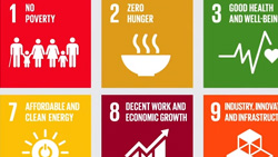 The Global Goals