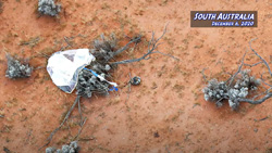 The Japan Aerospace Exploration Agency (JAXA) Hayabusa2 spacecraft capsule landing in Australia