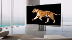 A large tv on a pedestal with a running tiger on a black background on the screen. The room is minimilistic with floor to ceiling windows with an ocean view
