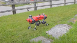 Wheeled-Legged Robot